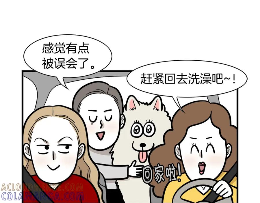 《我的狗子叫棉花》第54话 接它回家！ 第58页