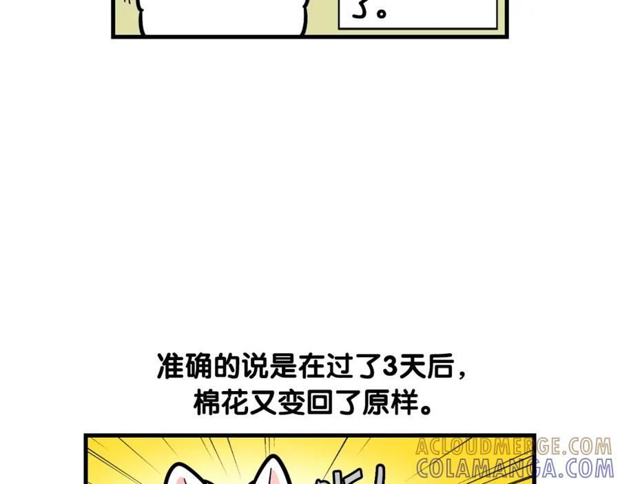 《我的狗子叫棉花》第54话 接它回家！ 第67页
