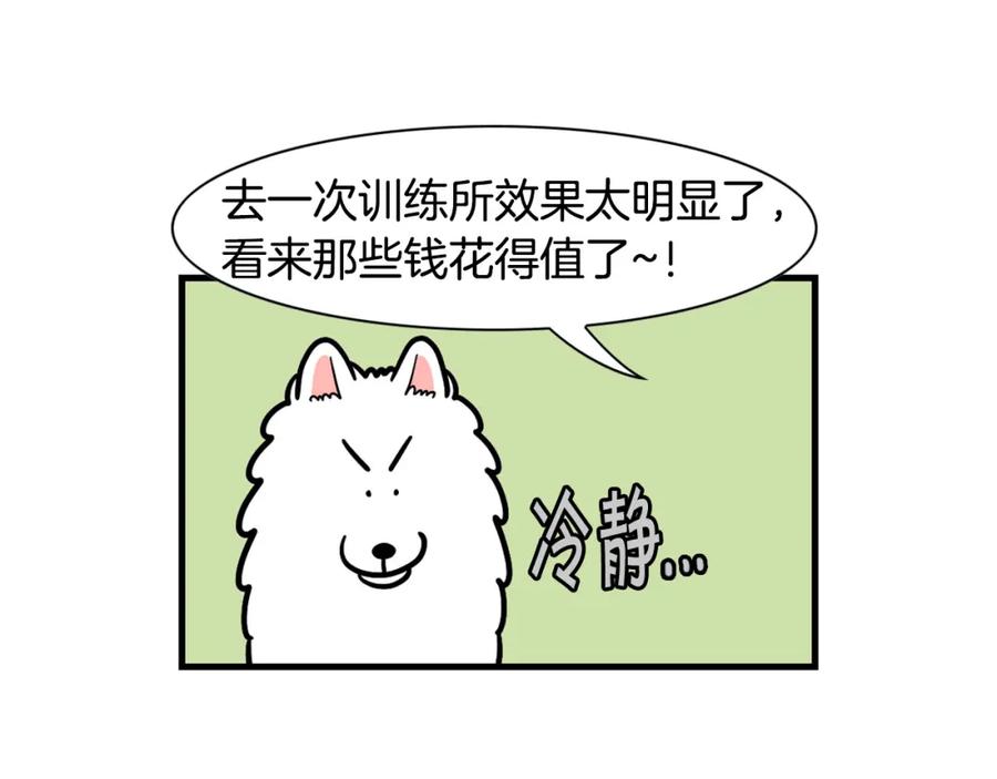 《我的狗子叫棉花》第54话 接它回家！ 第65页