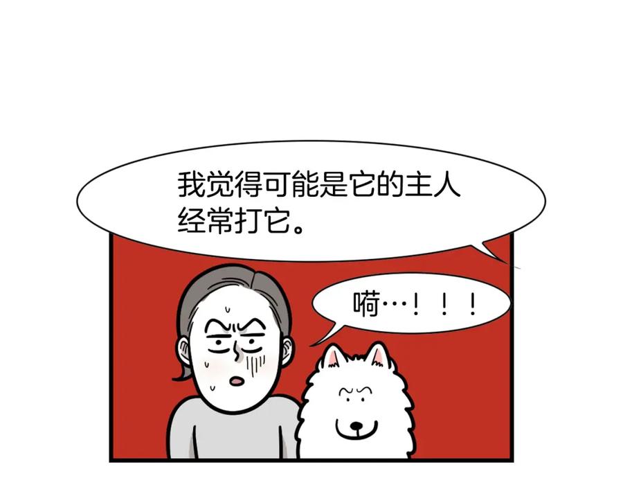 《我的狗子叫棉花》第54话 接它回家！ 第12页