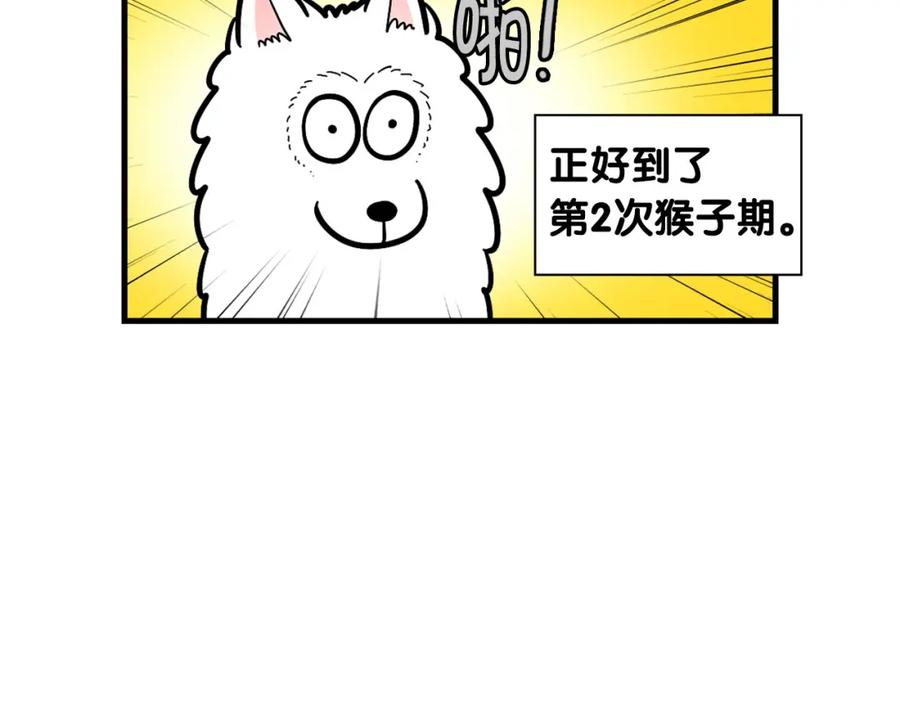 《我的狗子叫棉花》第54话 接它回家！ 第68页