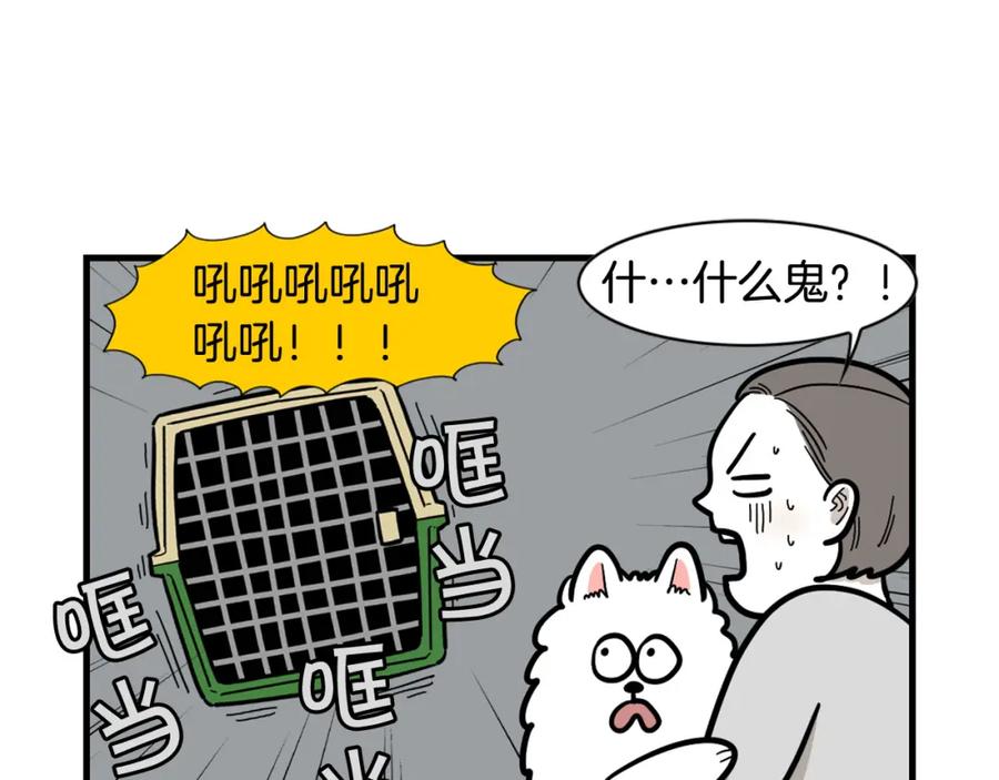 《我的狗子叫棉花》第54话 接它回家！ 第5页