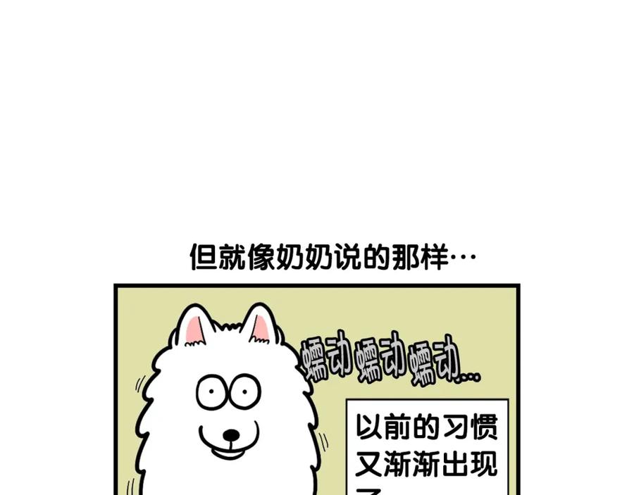 《我的狗子叫棉花》第54话 接它回家！ 第66页