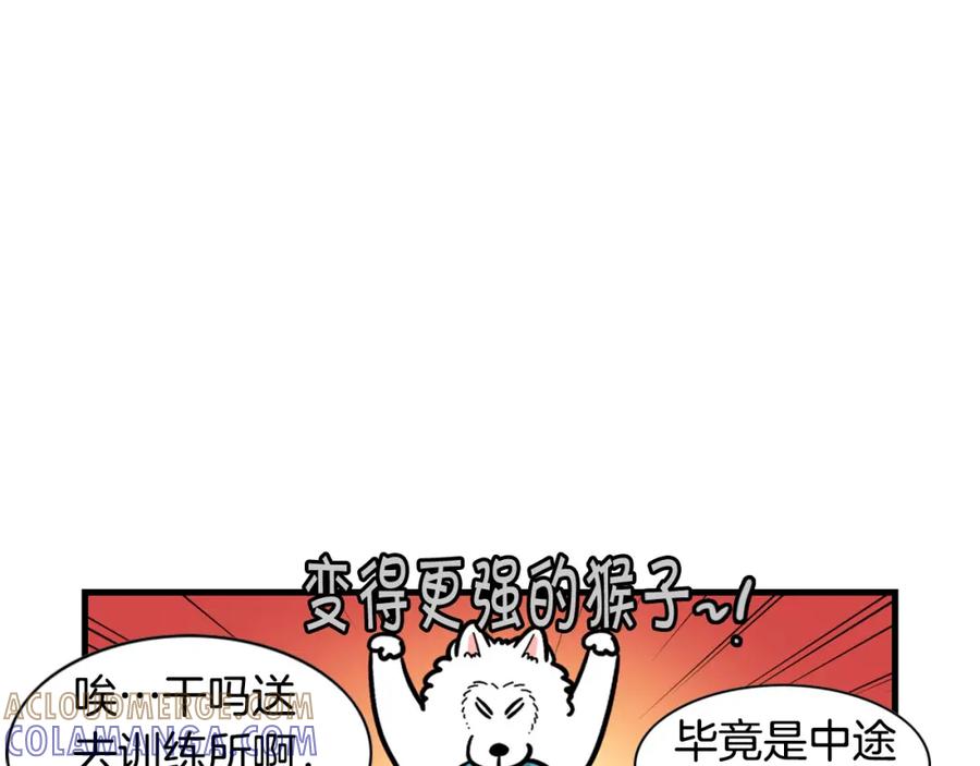 《我的狗子叫棉花》第54话 接它回家！ 第70页