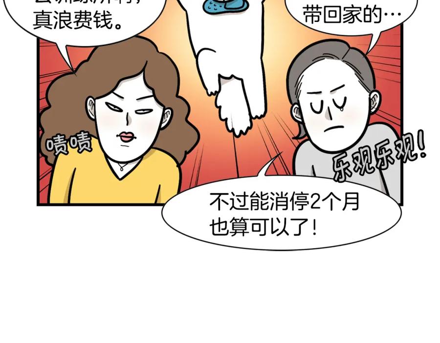 《我的狗子叫棉花》第54话 接它回家！ 第71页