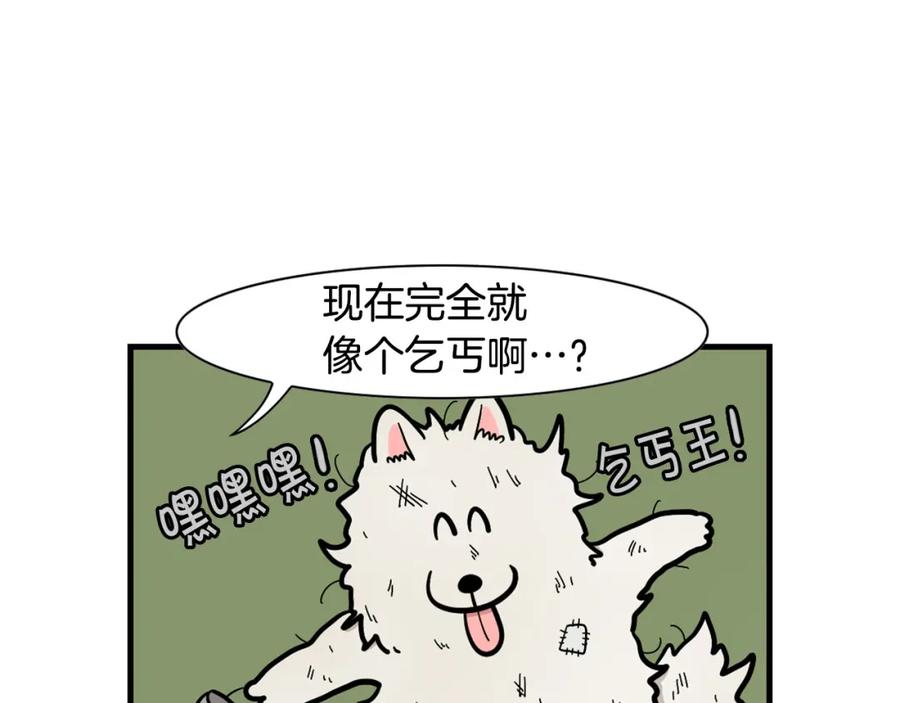 《我的狗子叫棉花》第54话 接它回家！ 第50页