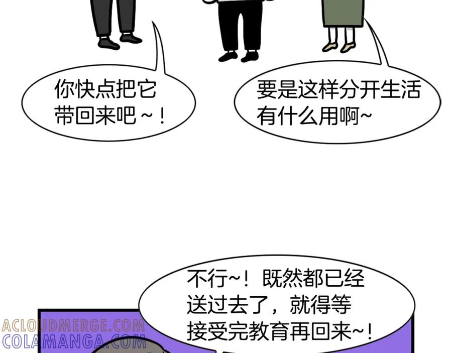 《我的狗子叫棉花》第54话 接它回家！ 第40页