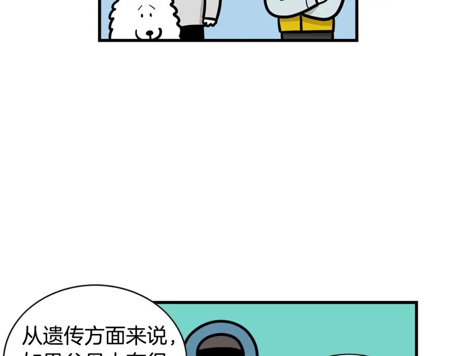《我的狗子叫棉花》第54话 接它回家！ 第14页