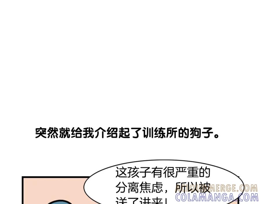 《我的狗子叫棉花》第54话 接它回家！ 第19页