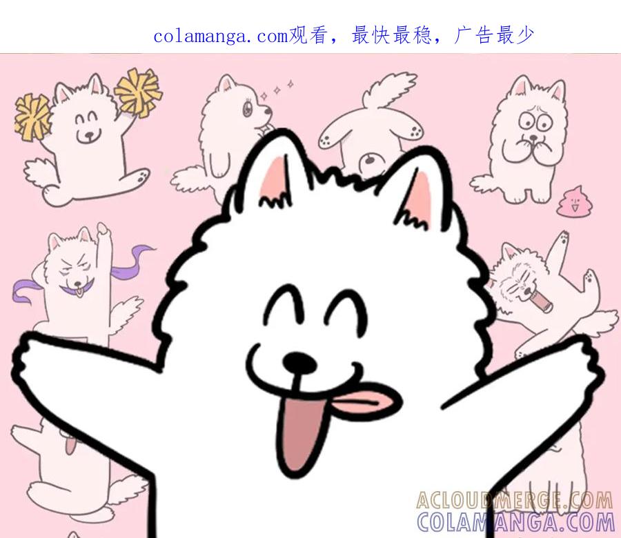 《我的狗子叫棉花》第54话 接它回家！ 第1页
