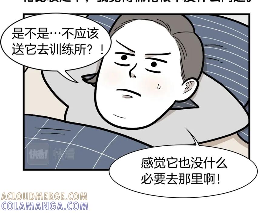 《我的狗子叫棉花》第54话 接它回家！ 第34页