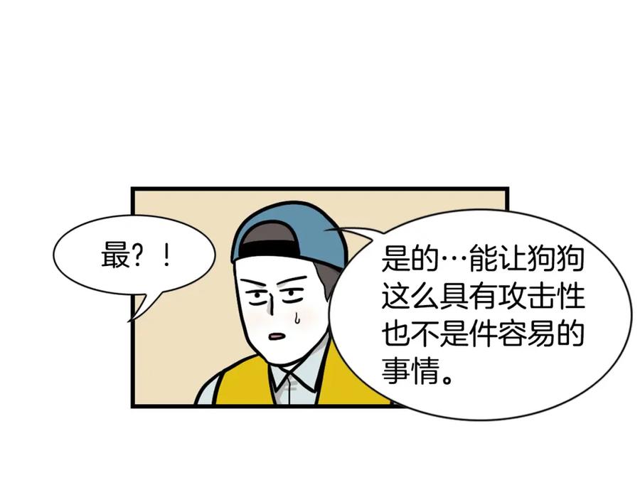 《我的狗子叫棉花》第54话 接它回家！ 第11页