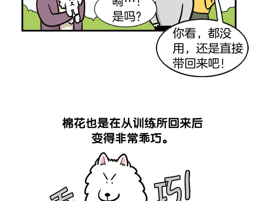 《我的狗子叫棉花》第54话 接它回家！ 第62页
