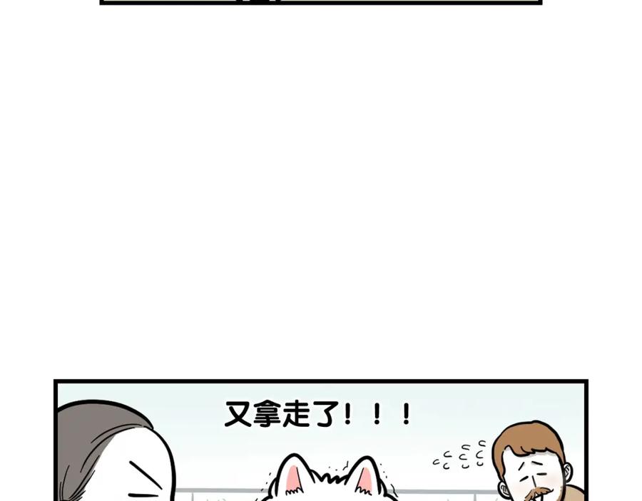 《我的狗子叫棉花》第55话 社恐狗狗 第35页
