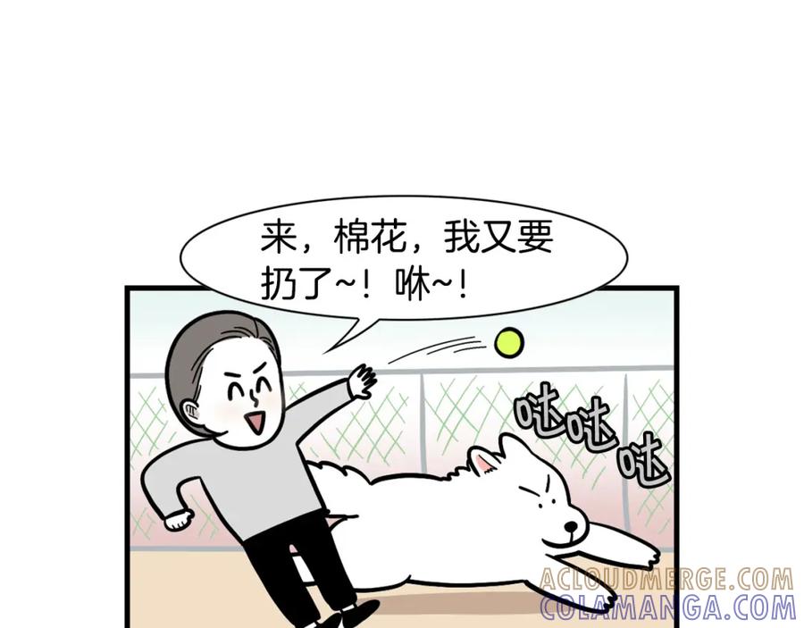 《我的狗子叫棉花》第55话 社恐狗狗 第34页