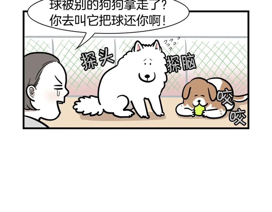 《我的狗子叫棉花》第55话 社恐狗狗 第27页