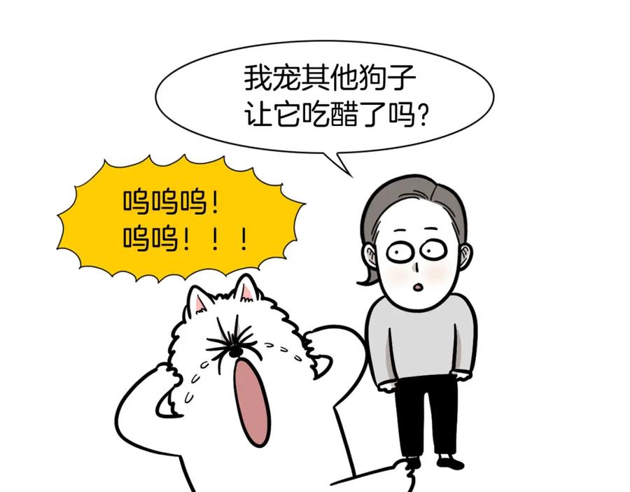 《我的狗子叫棉花》第55话 社恐狗狗 第66页