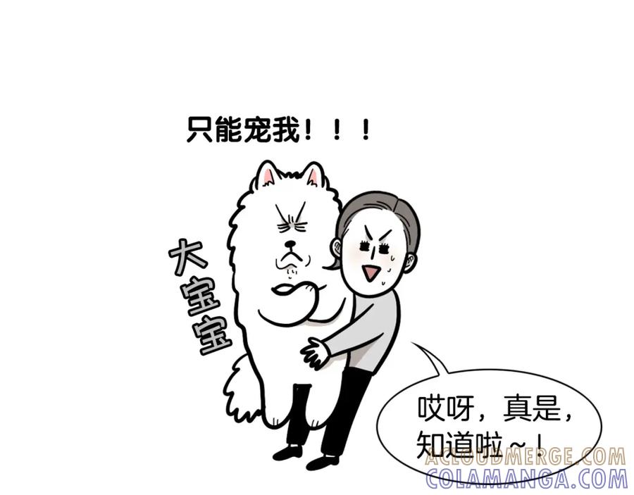 《我的狗子叫棉花》第55话 社恐狗狗 第70页