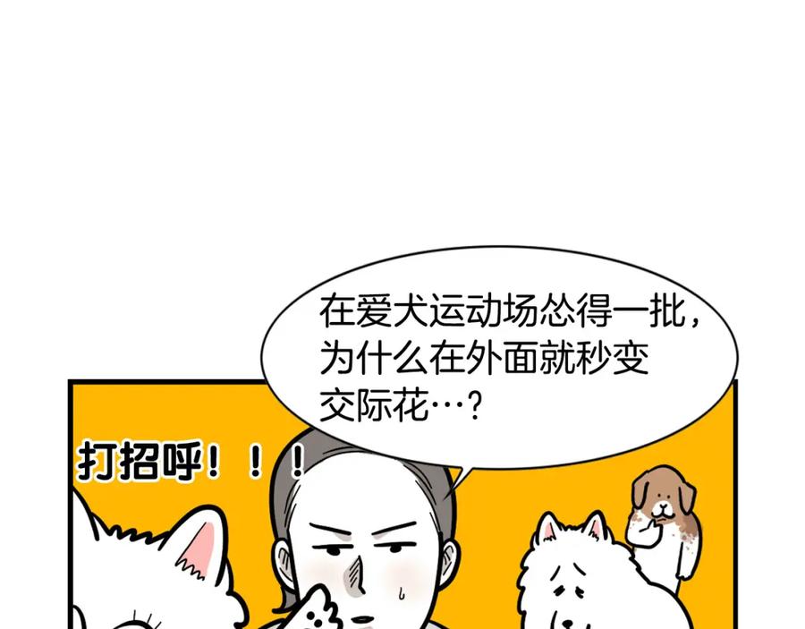 《我的狗子叫棉花》第55话 社恐狗狗 第57页