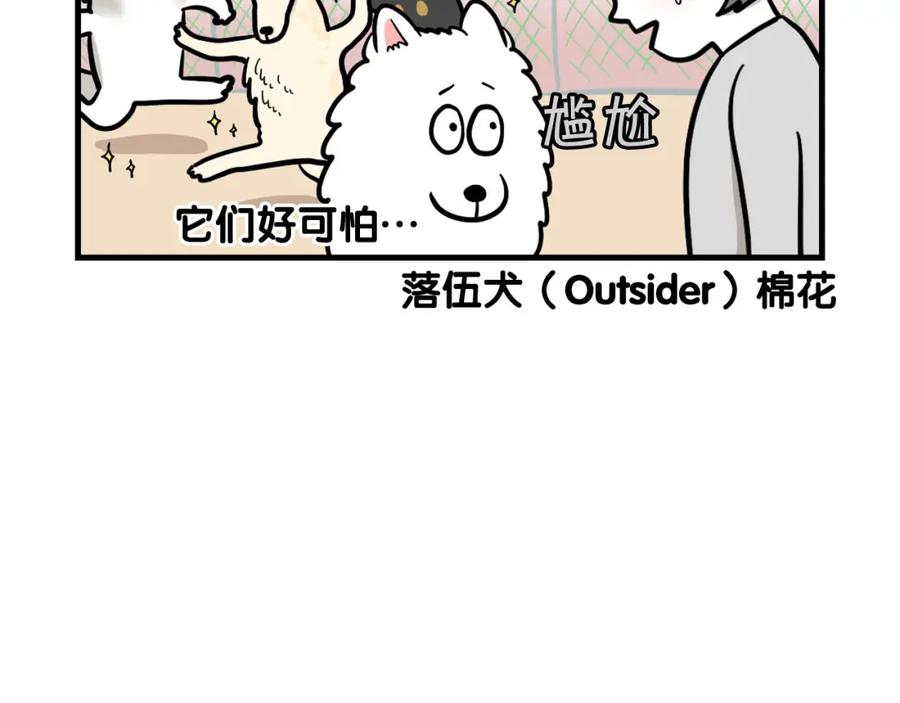 《我的狗子叫棉花》第55话 社恐狗狗 第18页