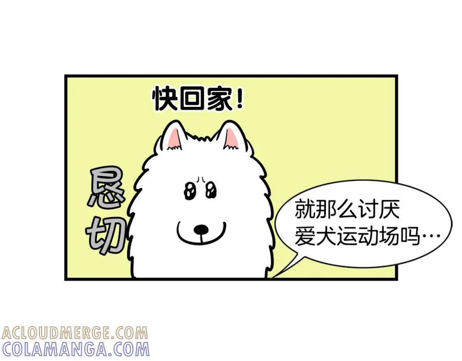 《我的狗子叫棉花》第55话 社恐狗狗 第43页