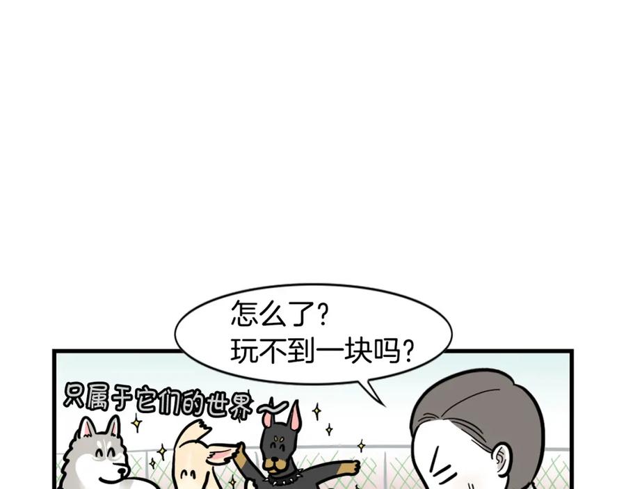 《我的狗子叫棉花》第55话 社恐狗狗 第17页