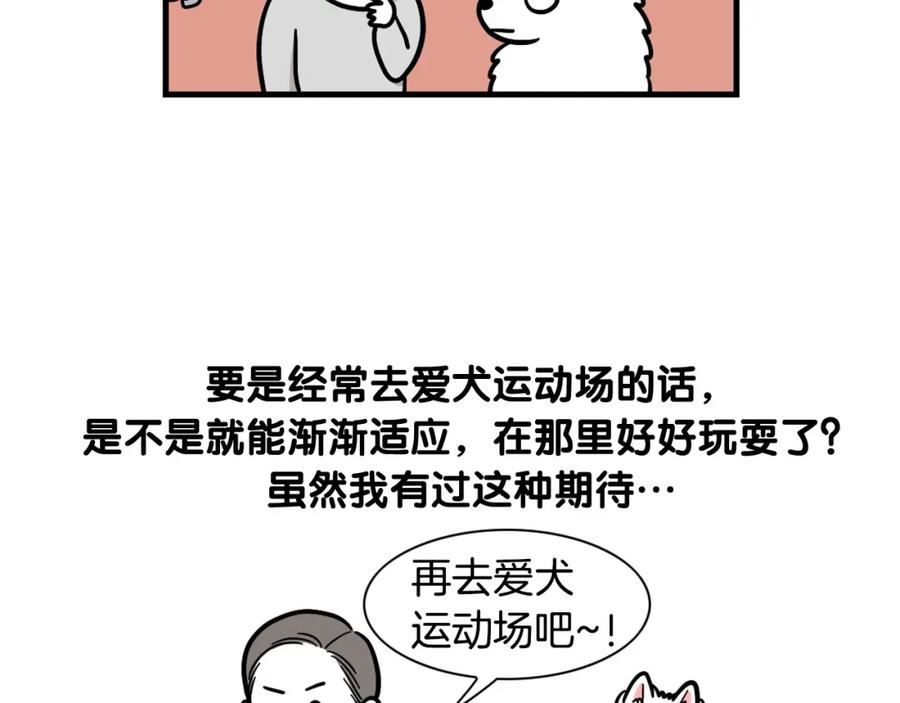 《我的狗子叫棉花》第55话 社恐狗狗 第47页