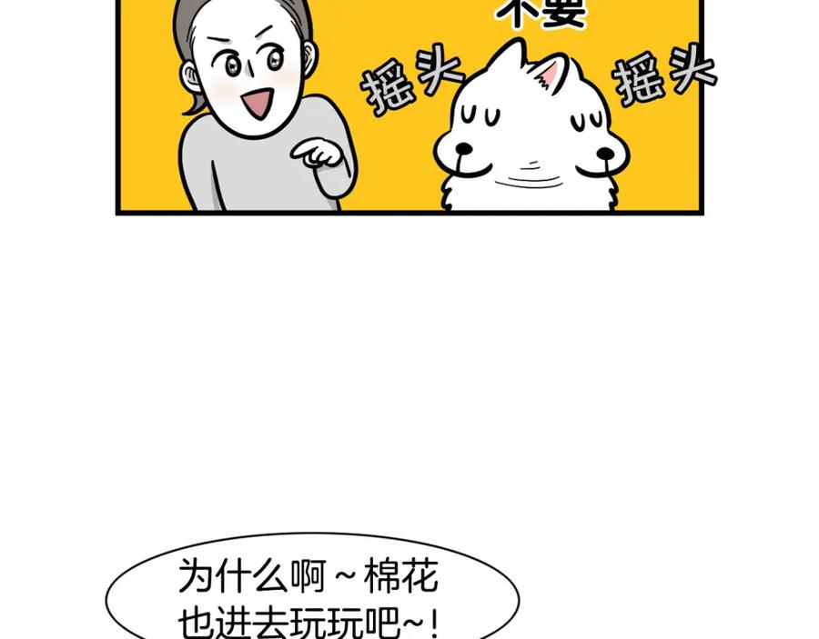 《我的狗子叫棉花》第55话 社恐狗狗 第8页
