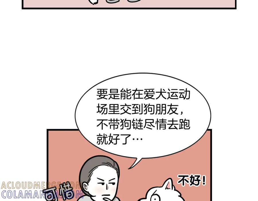 《我的狗子叫棉花》第55话 社恐狗狗 第46页