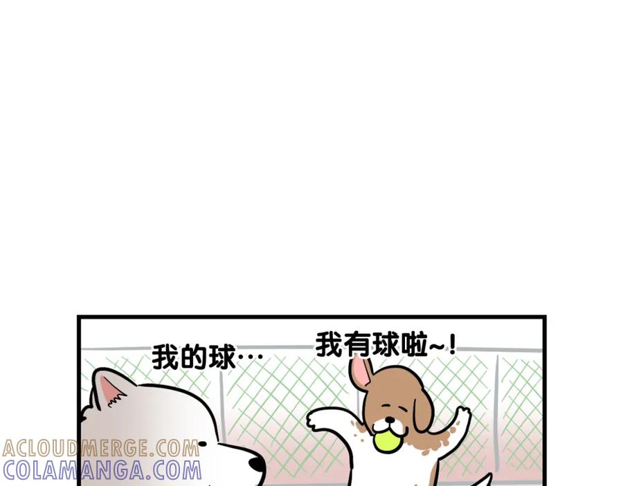 《我的狗子叫棉花》第55话 社恐狗狗 第25页