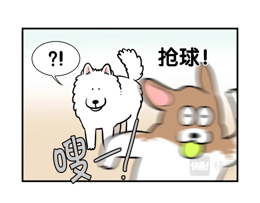 《我的狗子叫棉花》第55话 社恐狗狗 第24页