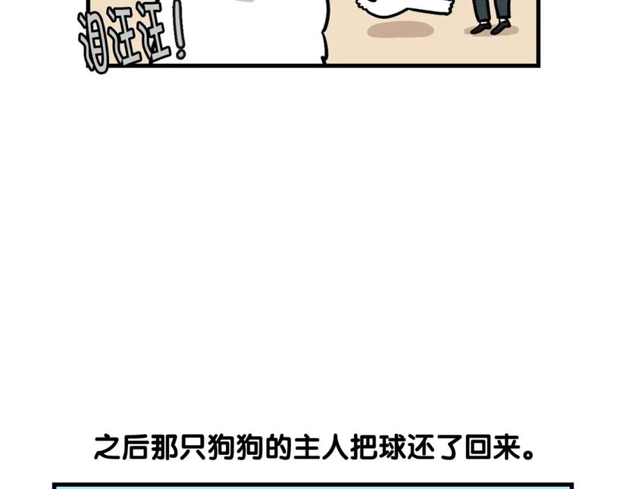 《我的狗子叫棉花》第55话 社恐狗狗 第32页