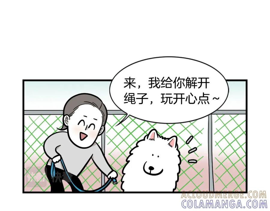 《我的狗子叫棉花》第55话 社恐狗狗 第13页