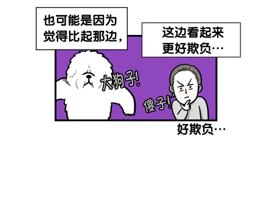 《我的狗子叫棉花》第55话 社恐狗狗 第69页