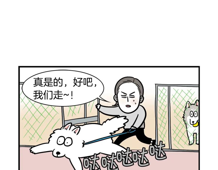 《我的狗子叫棉花》第55话 社恐狗狗 第45页