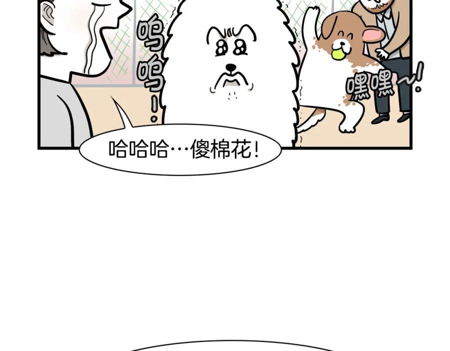 《我的狗子叫棉花》第55话 社恐狗狗 第36页