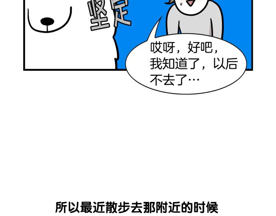 《我的狗子叫棉花》第55话 社恐狗狗 第51页