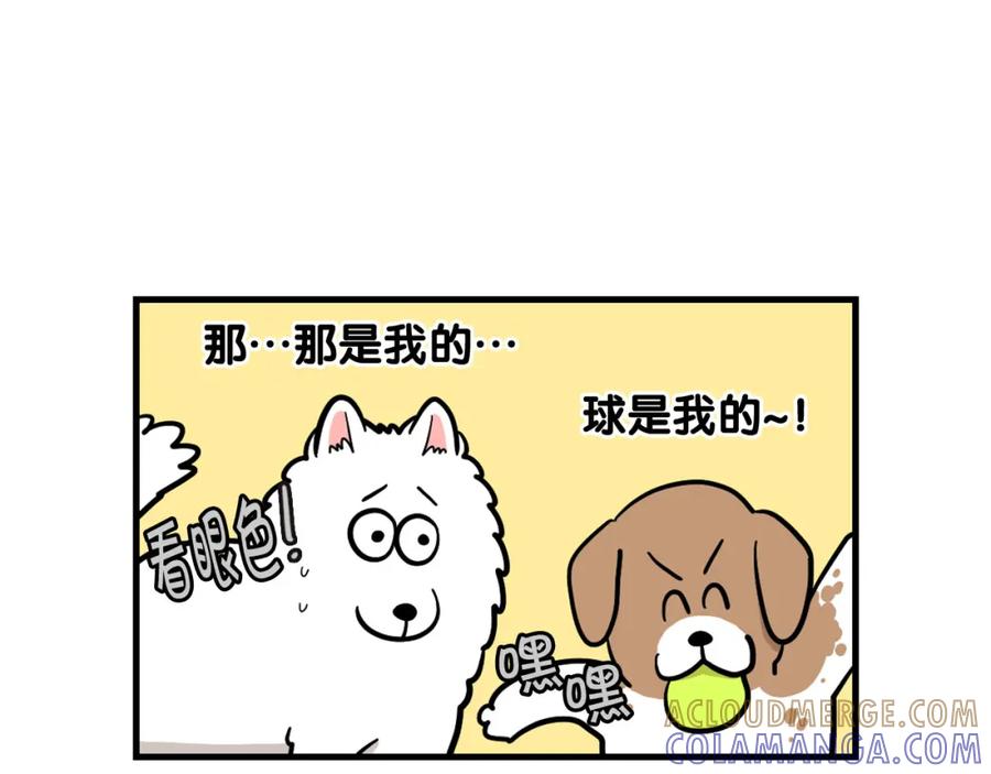 《我的狗子叫棉花》第55话 社恐狗狗 第28页
