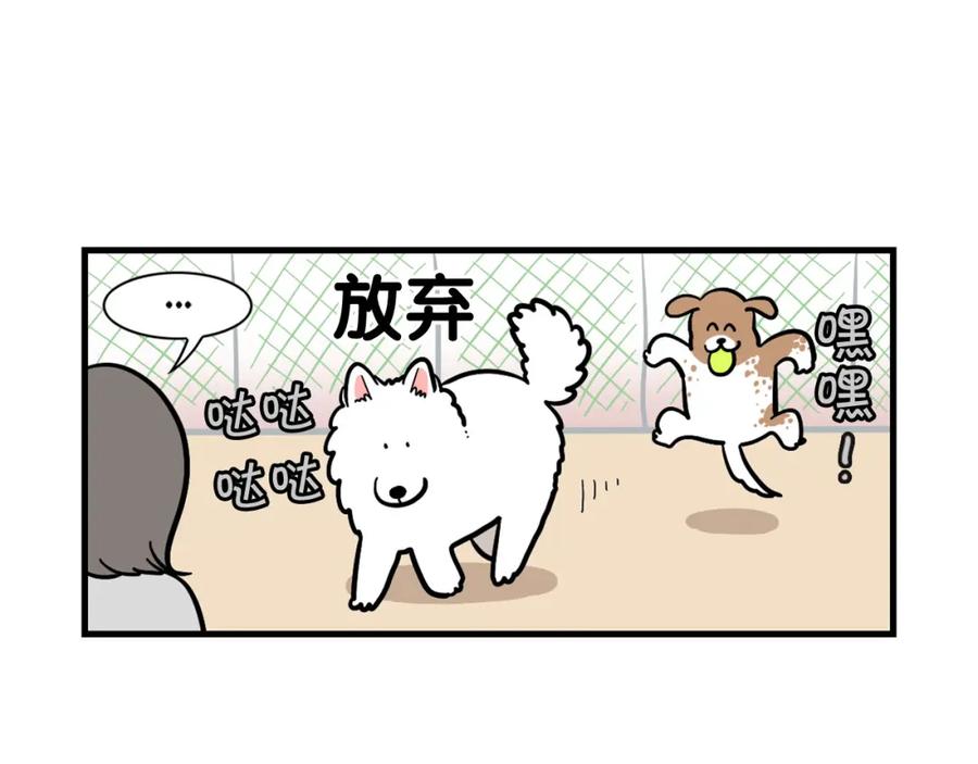 《我的狗子叫棉花》第55话 社恐狗狗 第30页