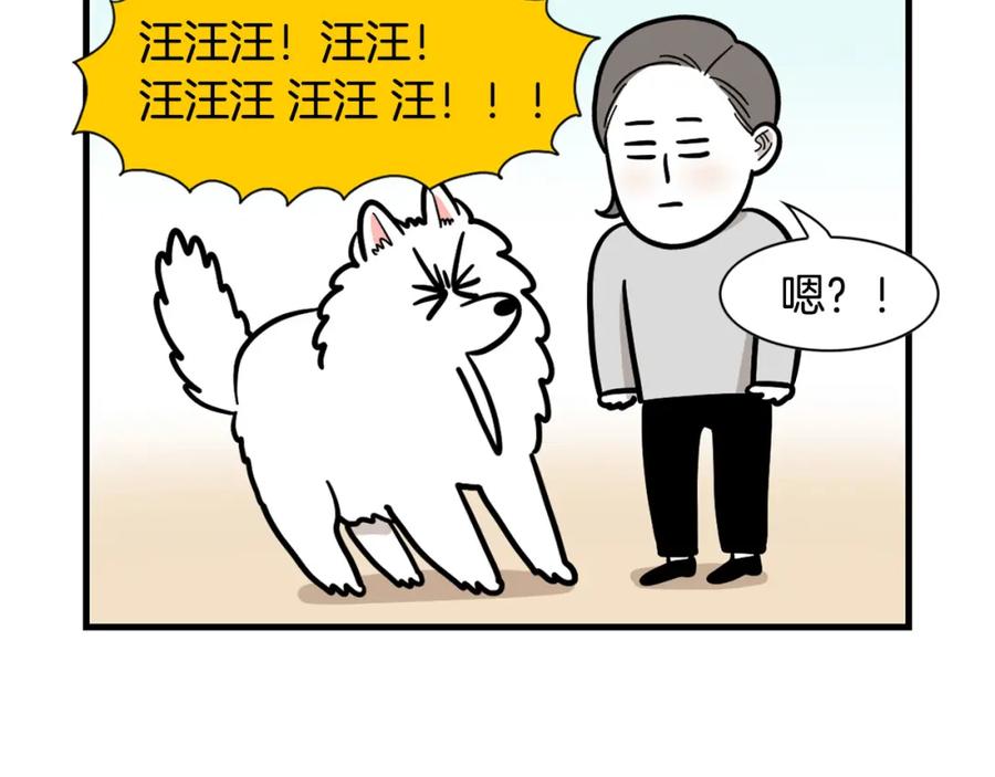 《我的狗子叫棉花》第55话 社恐狗狗 第65页