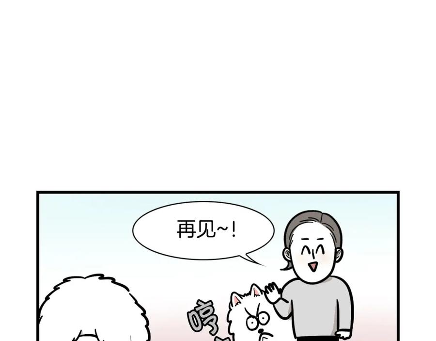 《我的狗子叫棉花》第55话 社恐狗狗 第63页