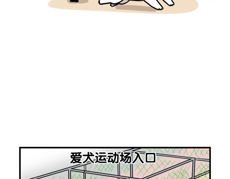 《我的狗子叫棉花》第55话 社恐狗狗 第41页