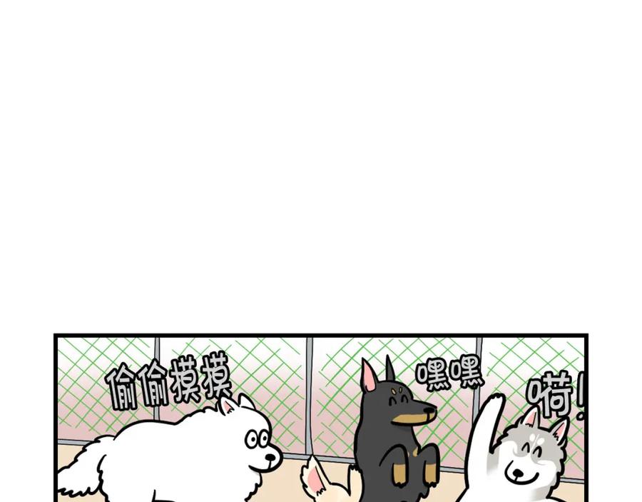 《我的狗子叫棉花》第55话 社恐狗狗 第14页