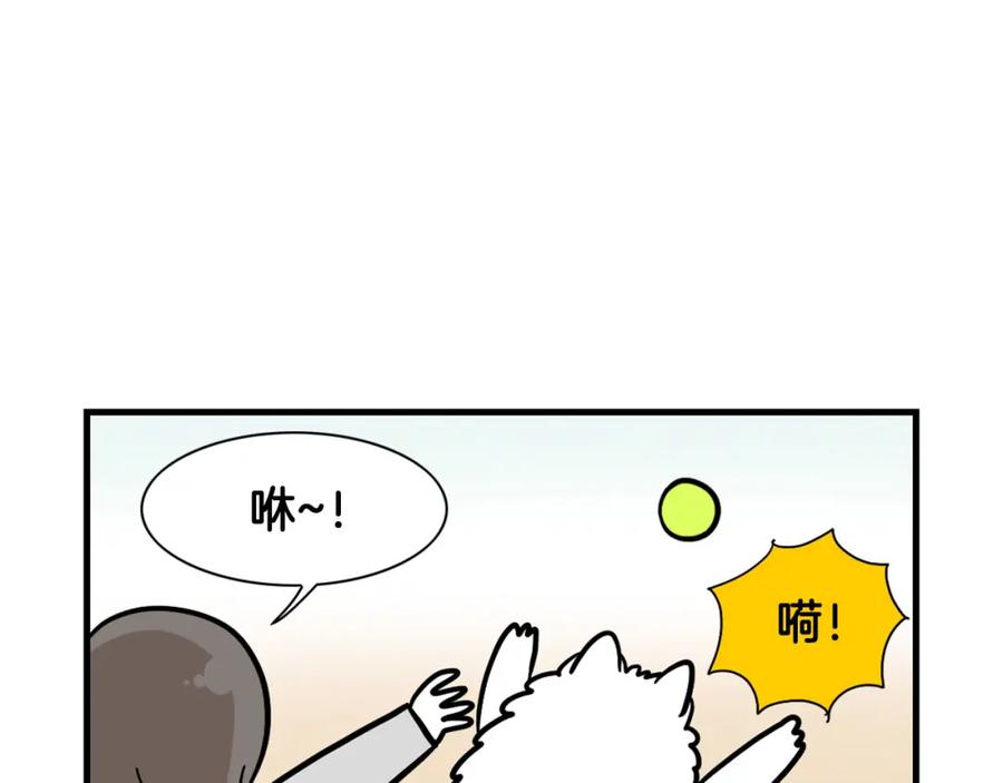 《我的狗子叫棉花》第55话 社恐狗狗 第21页