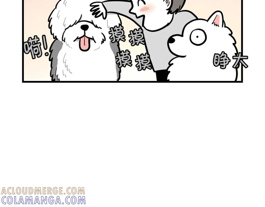 《我的狗子叫棉花》第55话 社恐狗狗 第61页