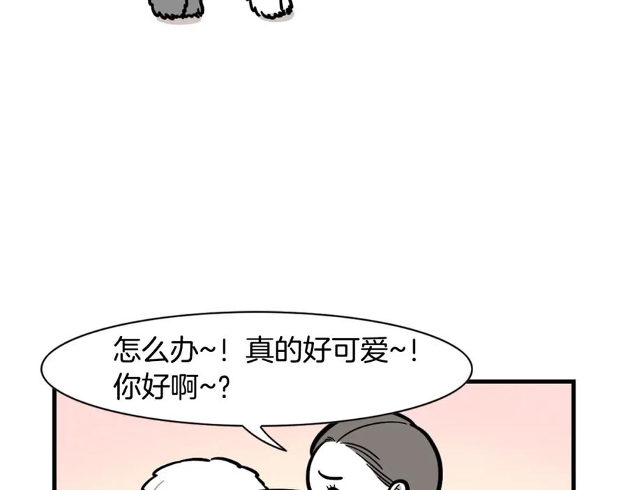 《我的狗子叫棉花》第55话 社恐狗狗 第60页