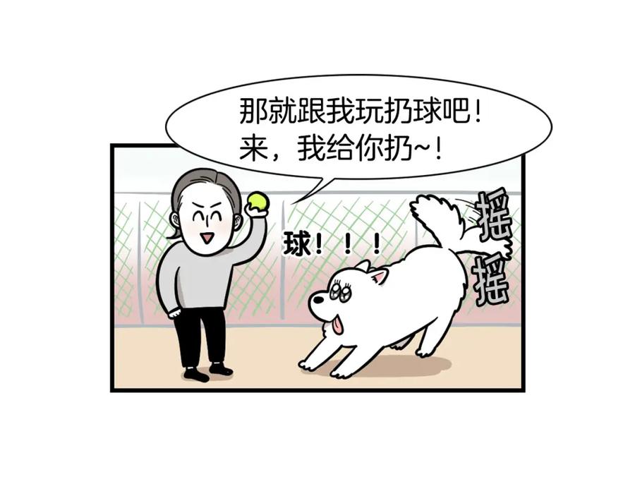 《我的狗子叫棉花》第55话 社恐狗狗 第20页