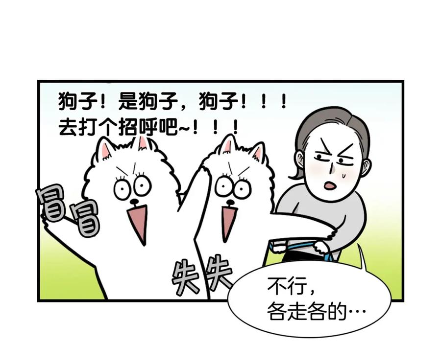 《我的狗子叫棉花》第55话 社恐狗狗 第56页