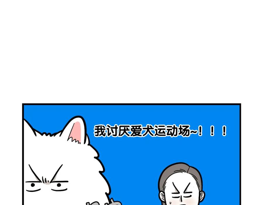 《我的狗子叫棉花》第55话 社恐狗狗 第50页