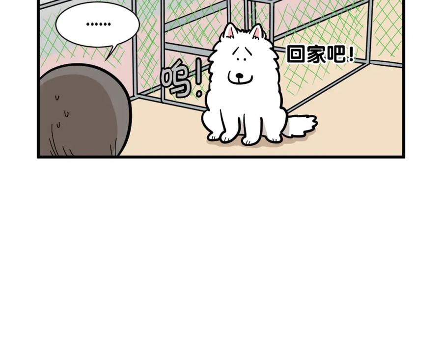 《我的狗子叫棉花》第55话 社恐狗狗 第42页